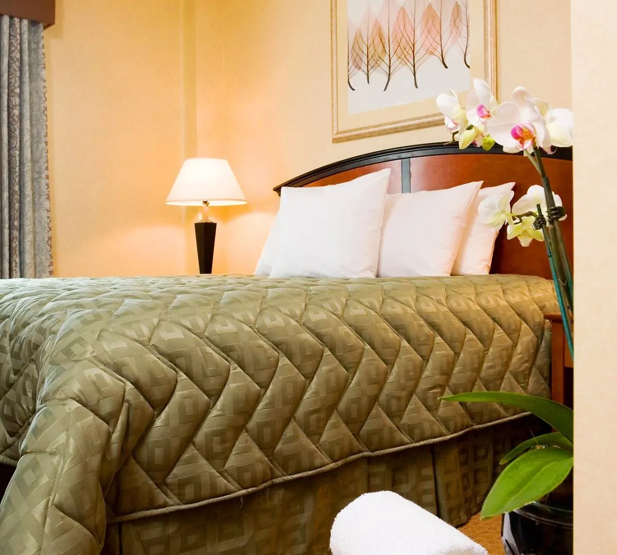 Red Lion Inn And Suites Brooklyn New York United States